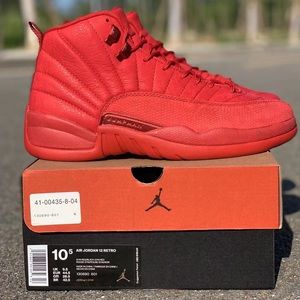 Air jordan 12 Retro